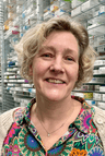 H. Sysling profile picture