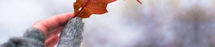 Article header